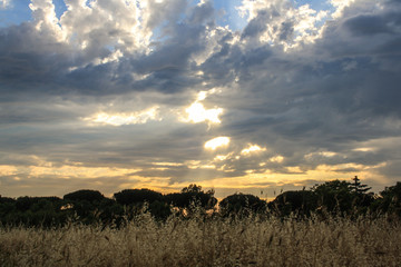 Panoramic cloudy sky