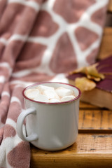Hot cocoa with marshmallow on the background of a plaid and book.