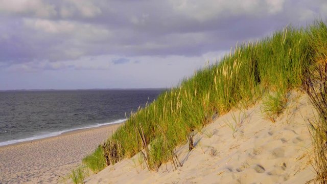 Sylt Nordsee Welt Natur Erbe Wattenmeer D&uuml;nen Landschaft 