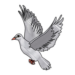 flying white dove on white background as symbol of peace vector illustration