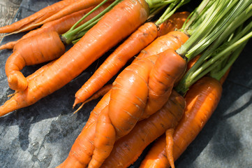 Fresh carrots