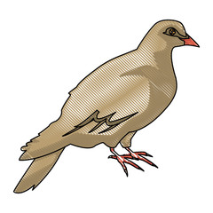 dove of peace nature animal concept icon vector illustration