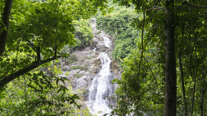  Waterfall in the Vietnamese jungle.
