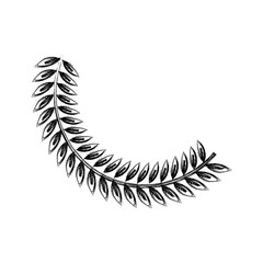 olive branch leaf peace flora symbol vector illustration