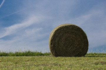 Ernte