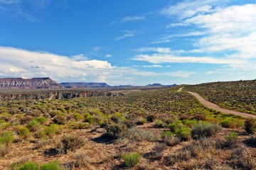 Fototapeta na wymiar Weg durch die Mojavewüste 