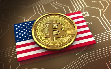 3d bitcoin USA flag