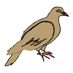 dove of peace nature animal concept icon vector illustration
