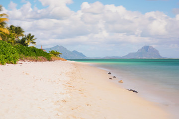 Relaxing on remote Paradise beach,typical tropical beach at Mauritius island.
