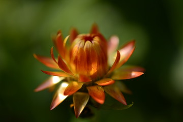 A DAY AT GARDEN 8-23