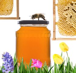 a jar glass with honey and flowers  isolated on white background
