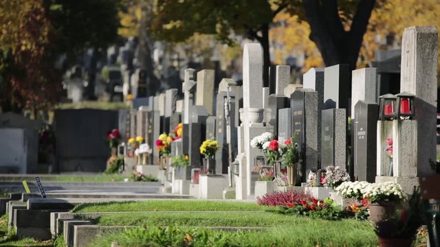 Friedhof - Cemetary Impressions