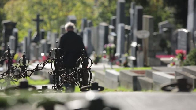 Friedhof - Cemetary Impressions