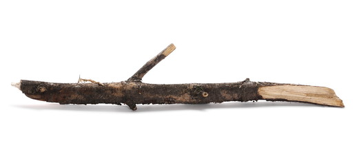Fototapeta na wymiar dry rotten branch isolated on white background