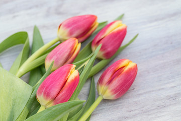 Spring Red and Yellow Tulips on Wood Table