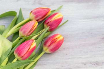 Colorful Spring Tulips on White Wood Table