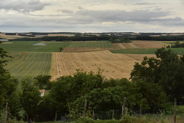 Fototapeta na wymiar Buissons et arbustes sur les pentes du Puy de Versac dominant les vastes champs du Périgord Vert en contrebas 