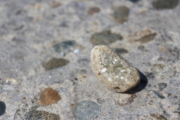 Fototapeta na wymiar Gray stone with fragments of mica.