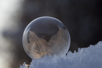 Gefrorene Eisblase in der Abendsonne