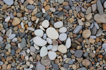 Colorful stones on the seashore, white stones are in the center in a circle