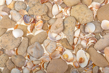 Sea pebbles and seashells background