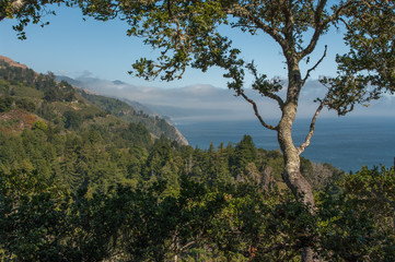 California Coastline
