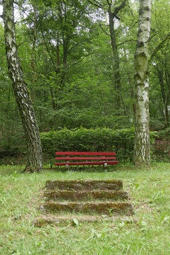 Alte rote hölzerne Parkbank zwischen zwei Birken, zu der einige bewachsene Stufen führen