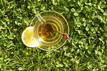 Tea with lemon in the grass