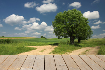 Platform and countryside, idyllic landscape with nice sky