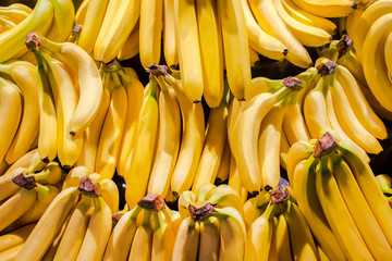 Beautiful fresh bananas