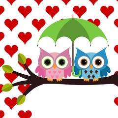 Two Owls sitting on the branch with green umbrella under the hearts rain