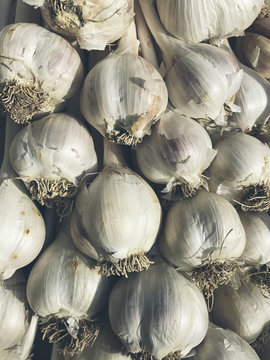 Organic garlic cloves for sale at farmers market
