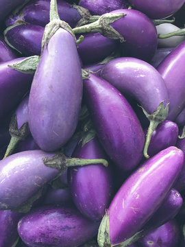 Organic eggplants for sale at farmers market