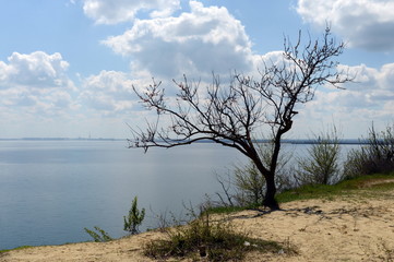 Tsimlyansk reservoir in the Rostov region.

