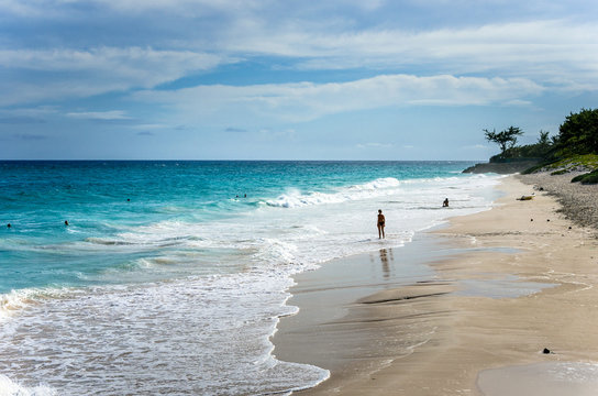 Tropical Beach in Barbados