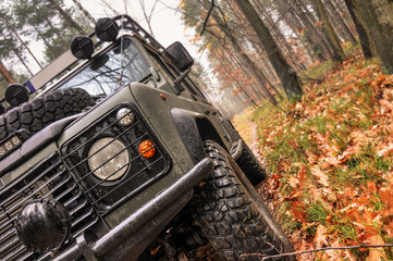 Offroad Forest  © luscious76