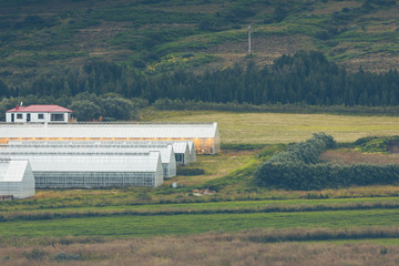 Fototapeta na wymiar Geothermal greenhouses in Iceland