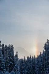 Papier Peint photo Lavable Forêt dans le brouillard Paysage de Banff