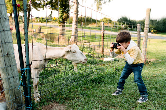 little boy takes photos of a goat