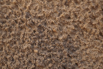 Sand after rain background