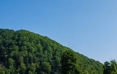 the tops of the mountains close up