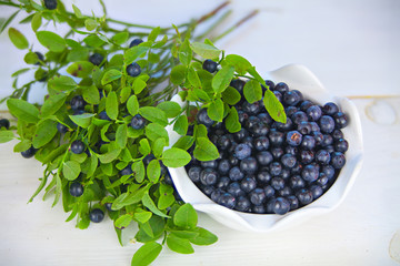 blueberries on a white background summer