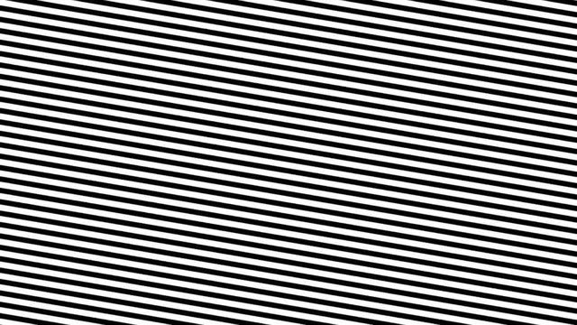 Zebra Line Movement Animation Background. Seamless Loop.