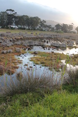 Lagon de Knysna, Afrique du Sud