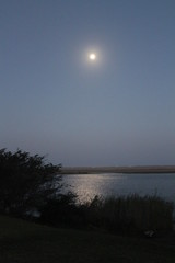 Plage de Sainte-Lucie, KwaZulu-Natal, Afrique du Sud