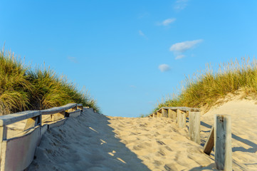 Weg durch die Düne zum Strand