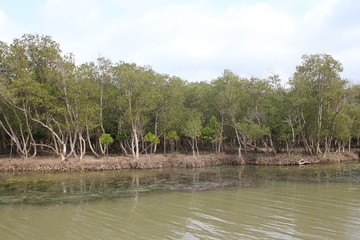 Estuaire de Sainte-Lucie, KwaZulu-Natal, Afrique du Sud