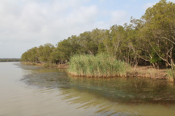 Estuaire de Sainte-Lucie, KwaZulu-Natal, Afrique du Sud