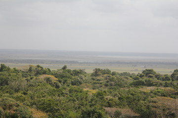 Réserve de Cape Vidal, St Lucia Park, KwaZulu-Natal, Afrique du Sud