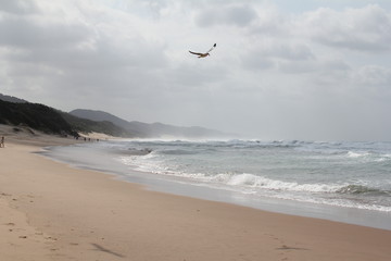 Cap Vidal, Santa Luc&iacute;a, KwaZulu-Natal - Afrique du Sud